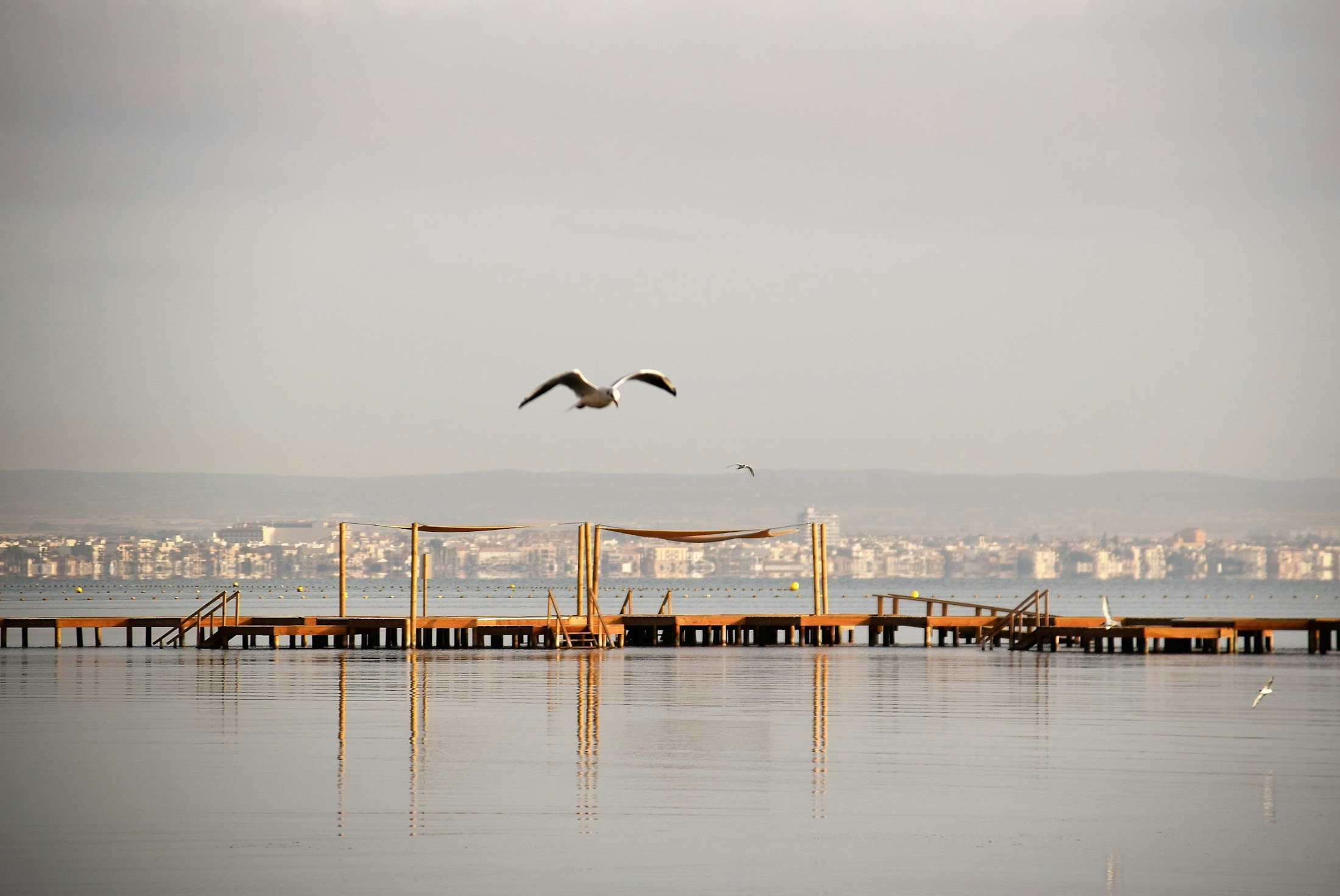 Costa Cálida – Mar Menor