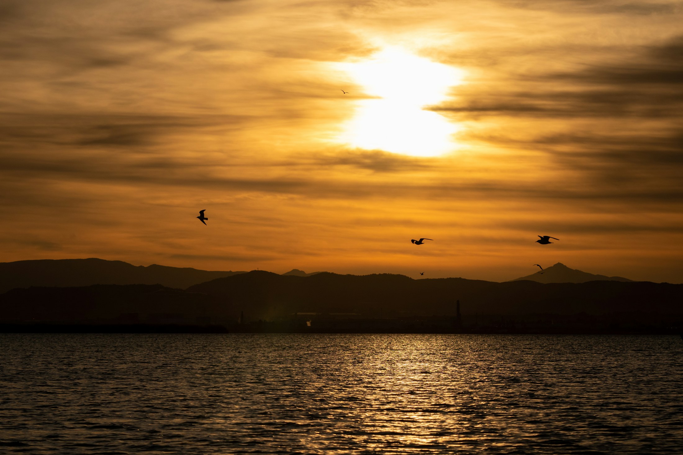 Walencja i okolice – Albufera de Valencia